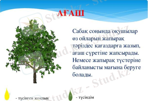 D:\Новая папка\семинарга 19.12\phpKqsbam_zhina_10.jpeg