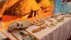 C:\Users\Пользователь\Desktop\ағылшын тілі\2222.jpg