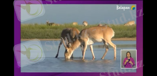 C:\Users\123\Desktop\КТП 22-23\КАМЕРА 22-23\8 кл\БИОАЛУАТҮРЛІЛІК 1\Screenshot_2023-01-09-05-53-35-31_f9ee0578fe1cc94de7482bd41accb329.jpg