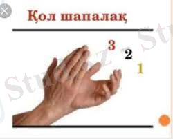 Без названия (1)