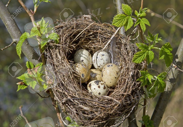 ÐÐ¾ÑÐ¾Ð¶ÐµÐµ Ð¸Ð·Ð¾Ð±ÑÐ°Ð¶ÐµÐ½Ð¸Ðµ