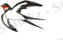 ÐÐ¾ÑÐ¾Ð¶ÐµÐµ Ð¸Ð·Ð¾Ð±ÑÐ°Ð¶ÐµÐ½Ð¸Ðµ