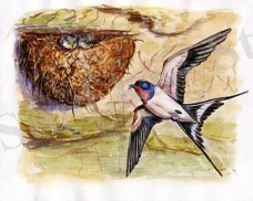 ÐÐ°ÑÑÐ¸Ð½ÐºÐ¸ Ð¿Ð¾ Ð·Ð°Ð¿ÑÐ¾ÑÑ Ð³Ð½ÐµÐ·Ð´Ð¾ Ð»Ð°ÑÑÐ¾ÑÐºÐ¸