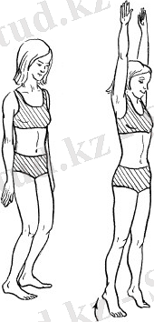 Евгения Сбитнева. Лечение болезней ног и варикозного расширения вен