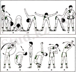 Разминка на уроках физкультуры