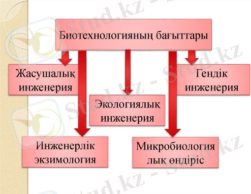 C:\Users\Анар\Desktop\9-сын 02.02\2.jpg