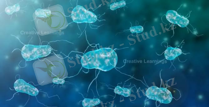 WhatsApp Image 2025-01-27 at 08.34.55