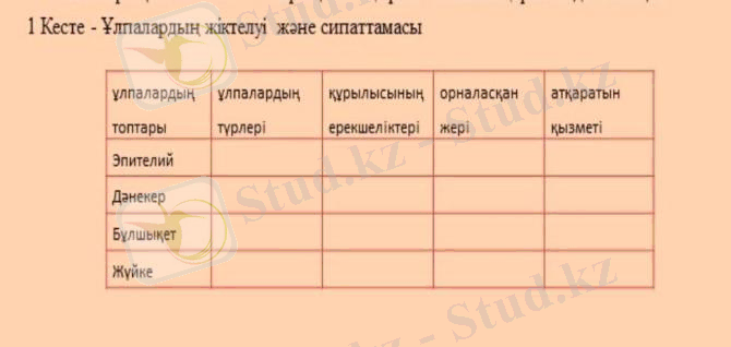 WhatsApp Image 2025-01-27 at 08.39.17