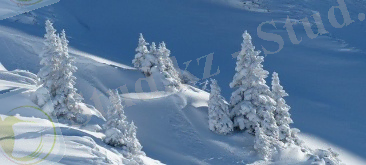 Қыс қызығы» сурет салу байқауы. — Ebilim.kz