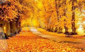 Күз мезгілінің ауа райы болжамы жарияланды