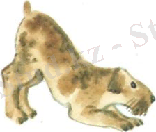 Забрамная 18_007т.jpg