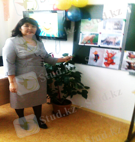 C:\Users\Аида\Desktop\Новая папка\22112012609.jpg