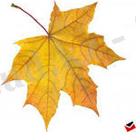 Описание: C:\Users\Домашний\Desktop\Новая папка (2)\iCAF2I915.jpg