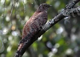 C:\Documents and Settings\Admin\Рабочий стол\images (2).jpg