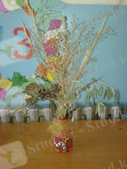 C:\Documents and Settings\Admin\Мои документы\Bluetooth Exchange Folder\Фото-0100.jpg