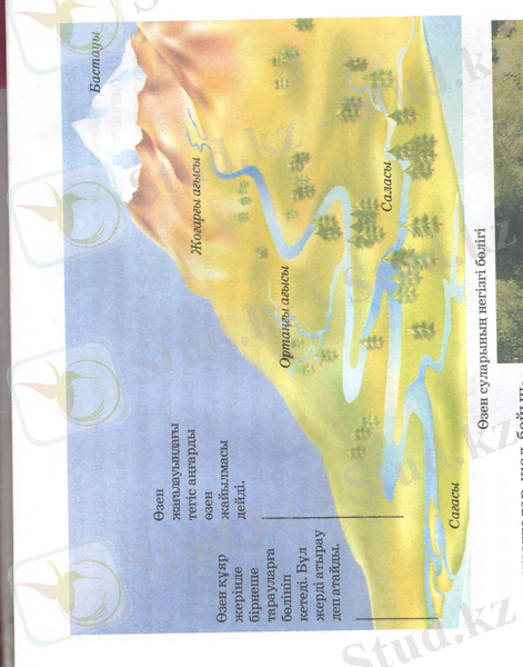 C:\Documents and Settings\окушы\Рабочий стол\нургул\нургул 008.jpg