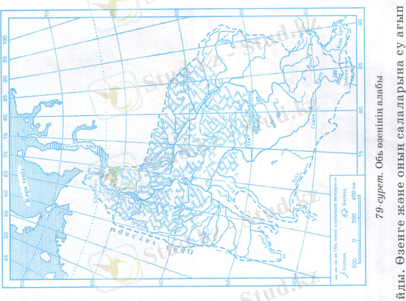 C:\Documents and Settings\окушы\Рабочий стол\нургул\нургул 005.jpg