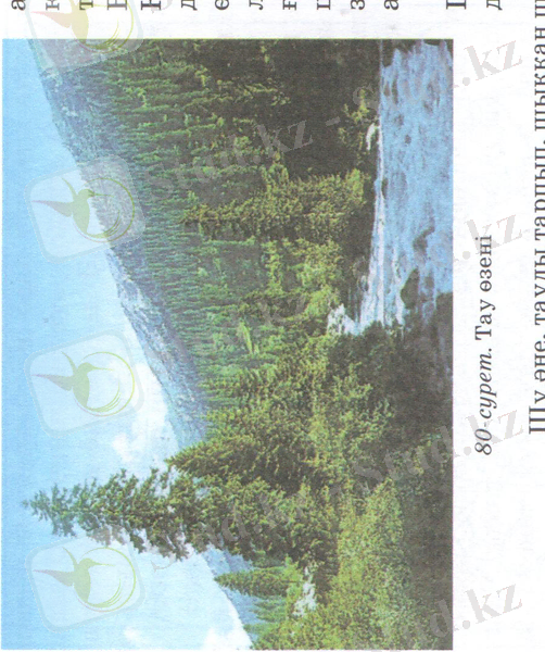 C:\Documents and Settings\окушы\Рабочий стол\нургул\нургул 006.jpg