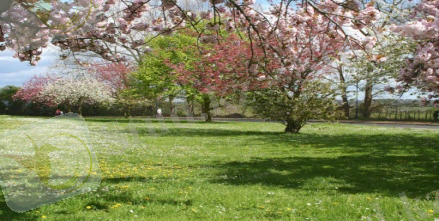 C:\Documents and Settings\Учитель\Рабочий стол\Весна\27.jpg