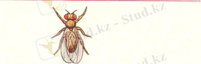 сканирование0003f