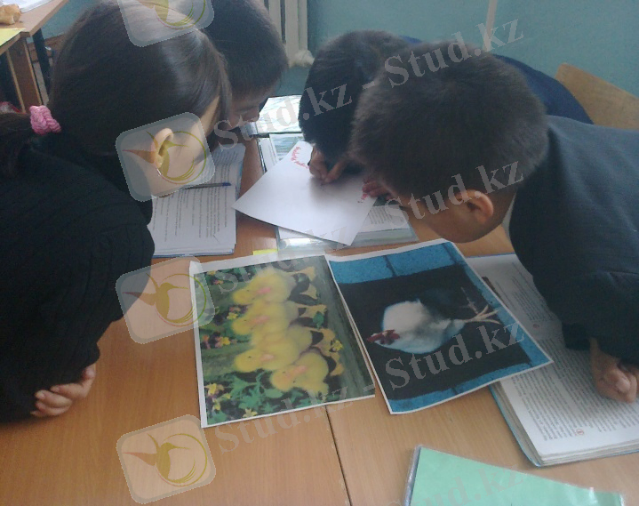 C:\Users\Бибигуль\Desktop\практика фотолары\фото\фото0417.jpg