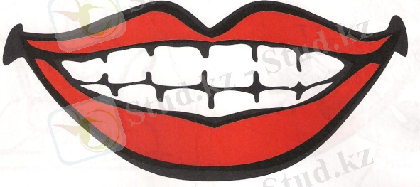 F:\сертификат 033.jpg