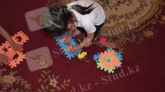 C:\Users\suipak\Desktop\психолог\Суреттер (8)\20140425_110856.jpg