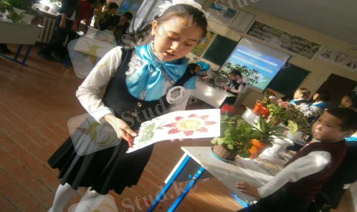 D:\Мои документы\фото\P1161137.JPG