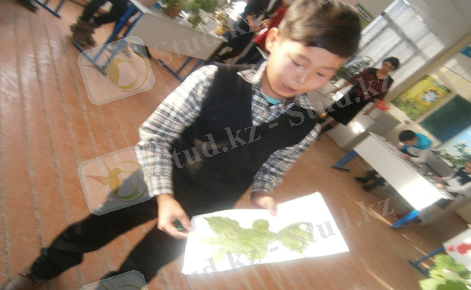 D:\Мои документы\фото\P1161139.JPG