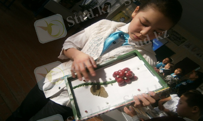 D:\Мои документы\фото\P1161138.JPG