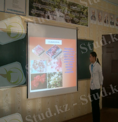 D:\Мои документы\фото\P1161119.JPG