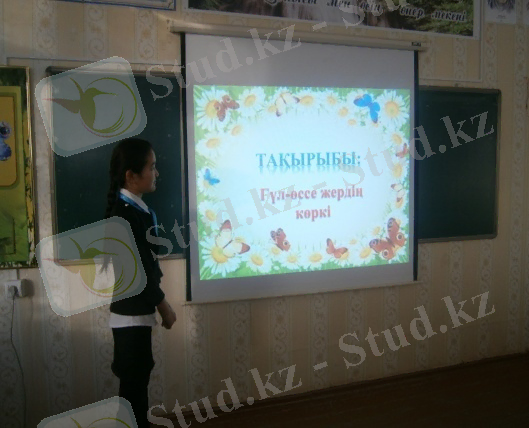 D:\Мои документы\фото\P1161123.JPG