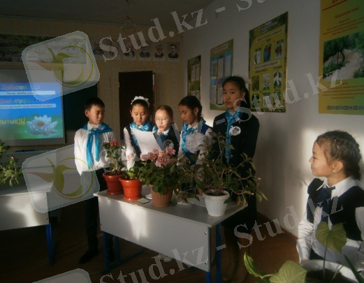 D:\Мои документы\фото\P1161130.JPG