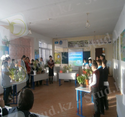 D:\Мои документы\фото\P1161131.JPG