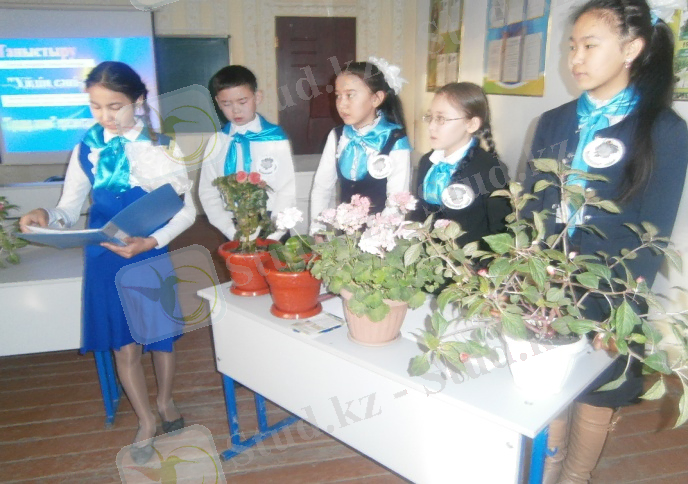 D:\Мои документы\фото\P1161103.JPG