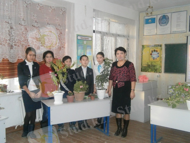 D:\Мои документы\фото\P1161094.JPG