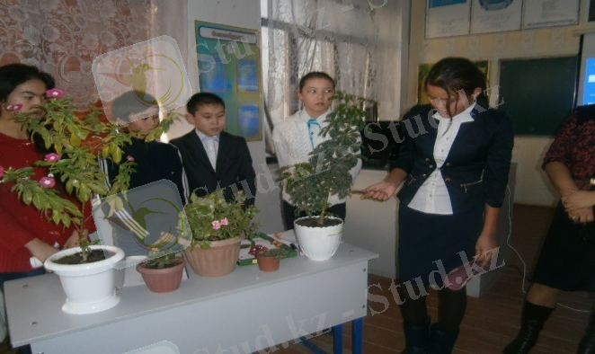 D:\Мои документы\фото\P1161105.JPG