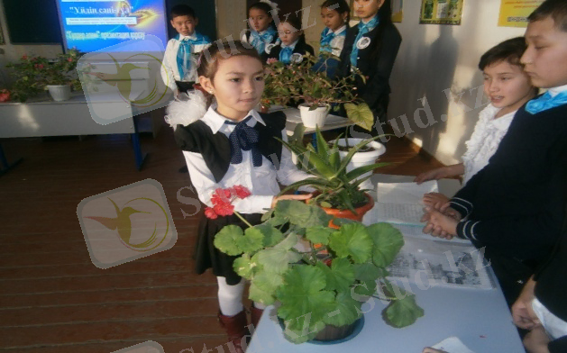 D:\Мои документы\фото\P1161102.JPG