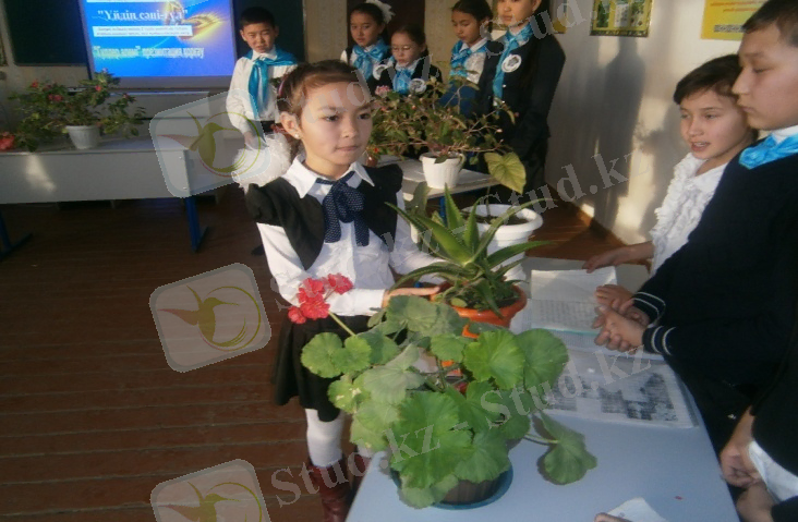 D:\Мои документы\фото\P1161102.JPG