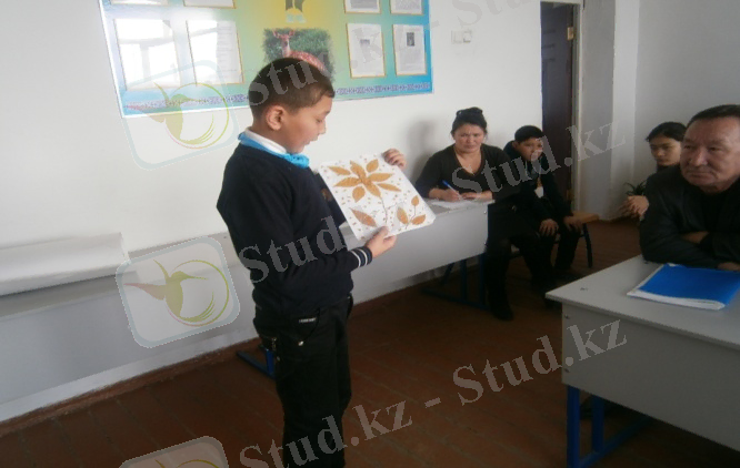 D:\Мои документы\фото\P1161134.JPG