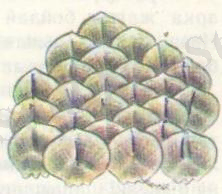 D:\Суреттер Әлемі\Көрнекілікке арналған\Жұмаштегі\Ж9маштеги 004 - копия.jpg