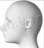 C:\Users\Windows7\Downloads\images (4).jpg