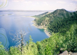 C:\Users\win7pro\Pictures\улкен шабақты.jpg