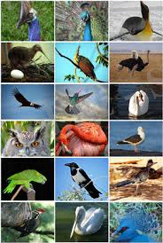 C:\Users\Юзер\Documents\загруженное (94).jpg