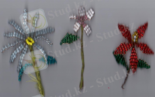 G:\сумоншақ\р00 002.jpg