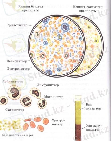C:\Users\1\AppData\Local\Microsoft\Windows\Temporary Internet Files\Content.Word\001.jpg