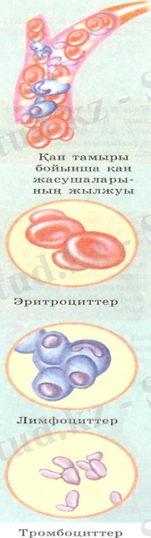 C:\Users\1\AppData\Local\Microsoft\Windows\Temporary Internet Files\Content.Word\001.jpg