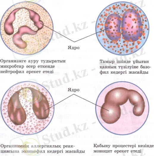 C:\Users\1\AppData\Local\Microsoft\Windows\Temporary Internet Files\Content.Word\002.jpg