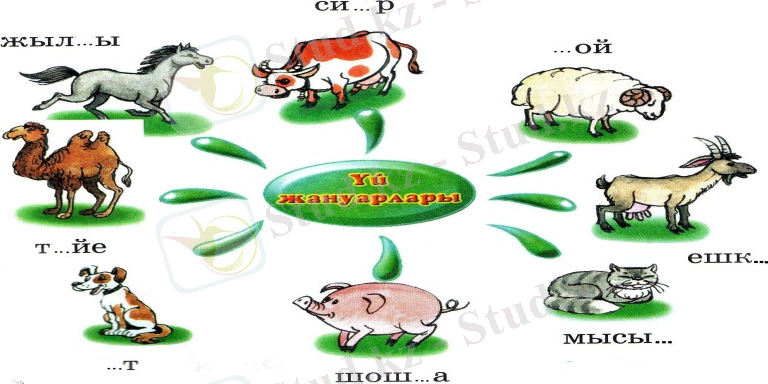 б c животные