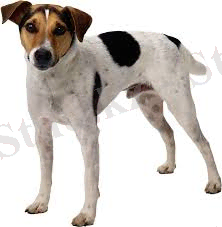 C:\Users\Айханым\Pictures\Новая папка\indexпорпор.jpg